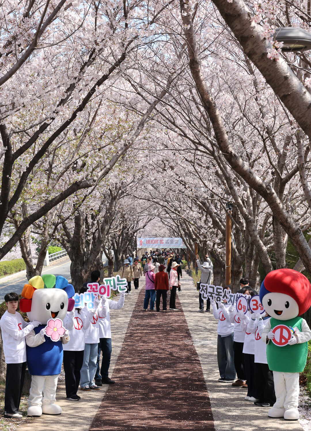 부산시선관위, 벚꽃길서 투표 독려 캠...